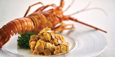 lpxia-gourmet catering.jpg